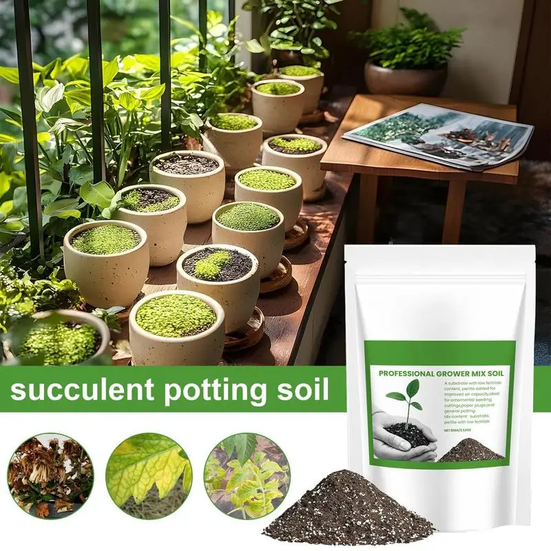 Succulent Soil Potting Mix Aer - Bonsai Garden Usa 评论和价格
