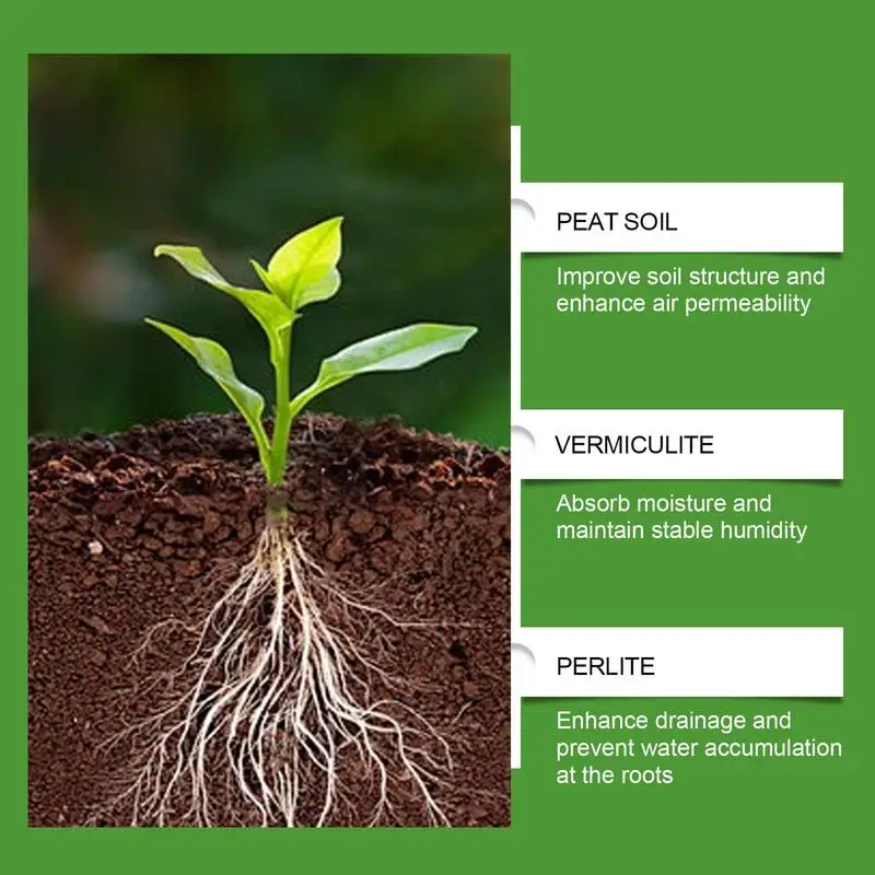 Succulent Soil Potting Mix Aer - Bonsai Garden Usa 评论和价格