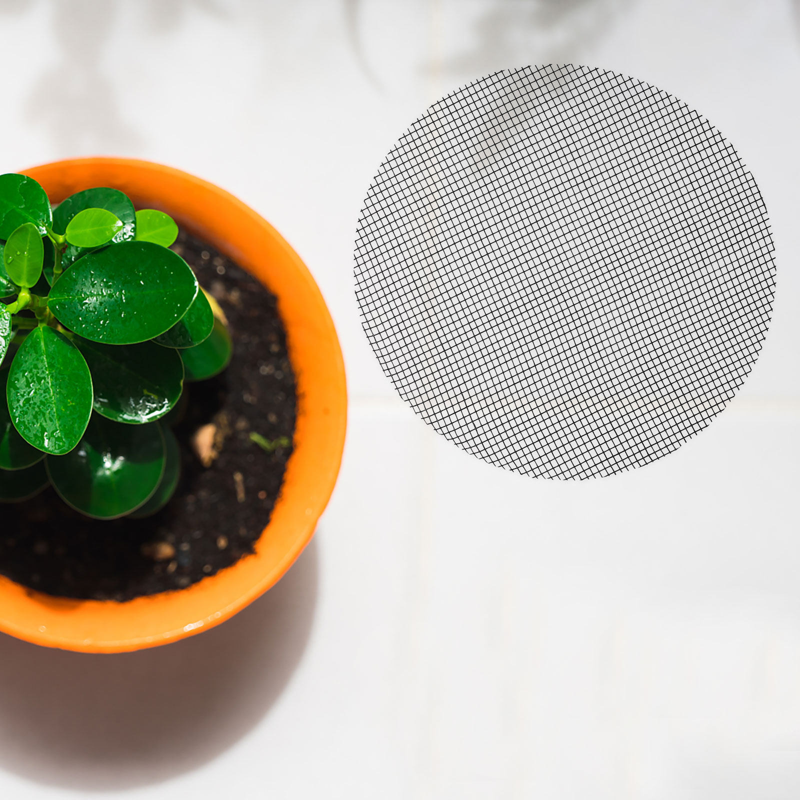 50Pcs Flower Pot Hole Mesh Pad - Bonsai Garden Usa 评论和价格