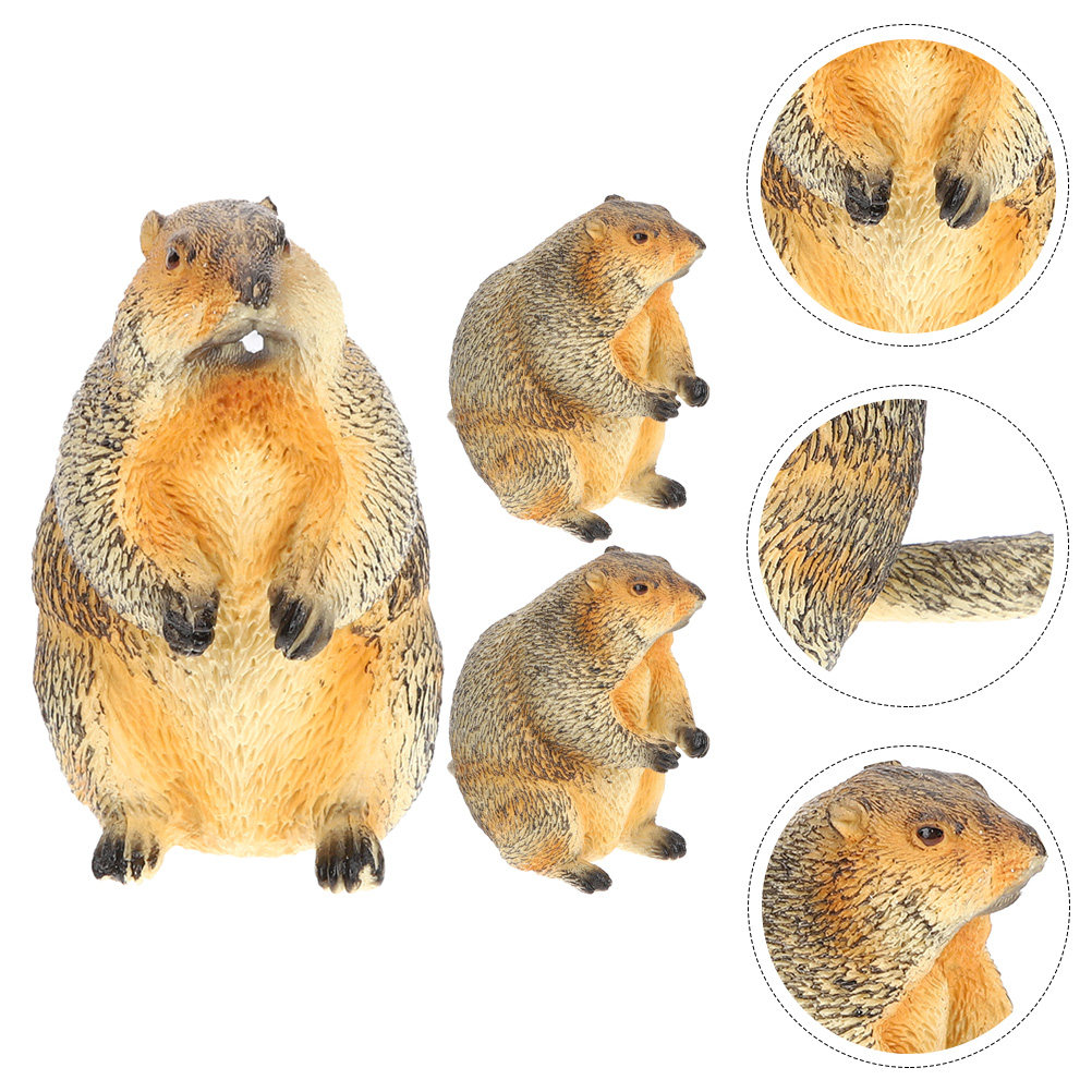 3Pcs Miniature Groundhog Statu - Bonsai Garden Desk 评论和价格