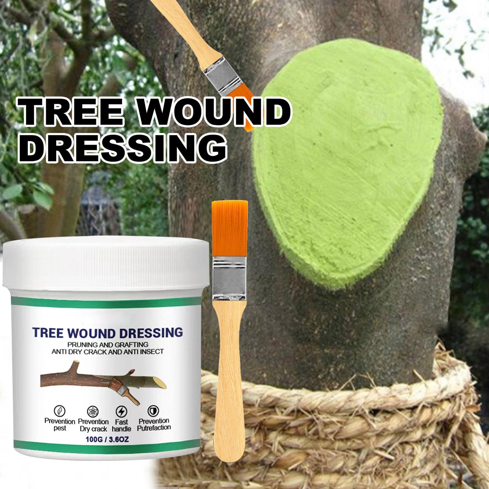 100g Tree Wound Pruning Sealer - Bonsai Garden Usa 评论和价格