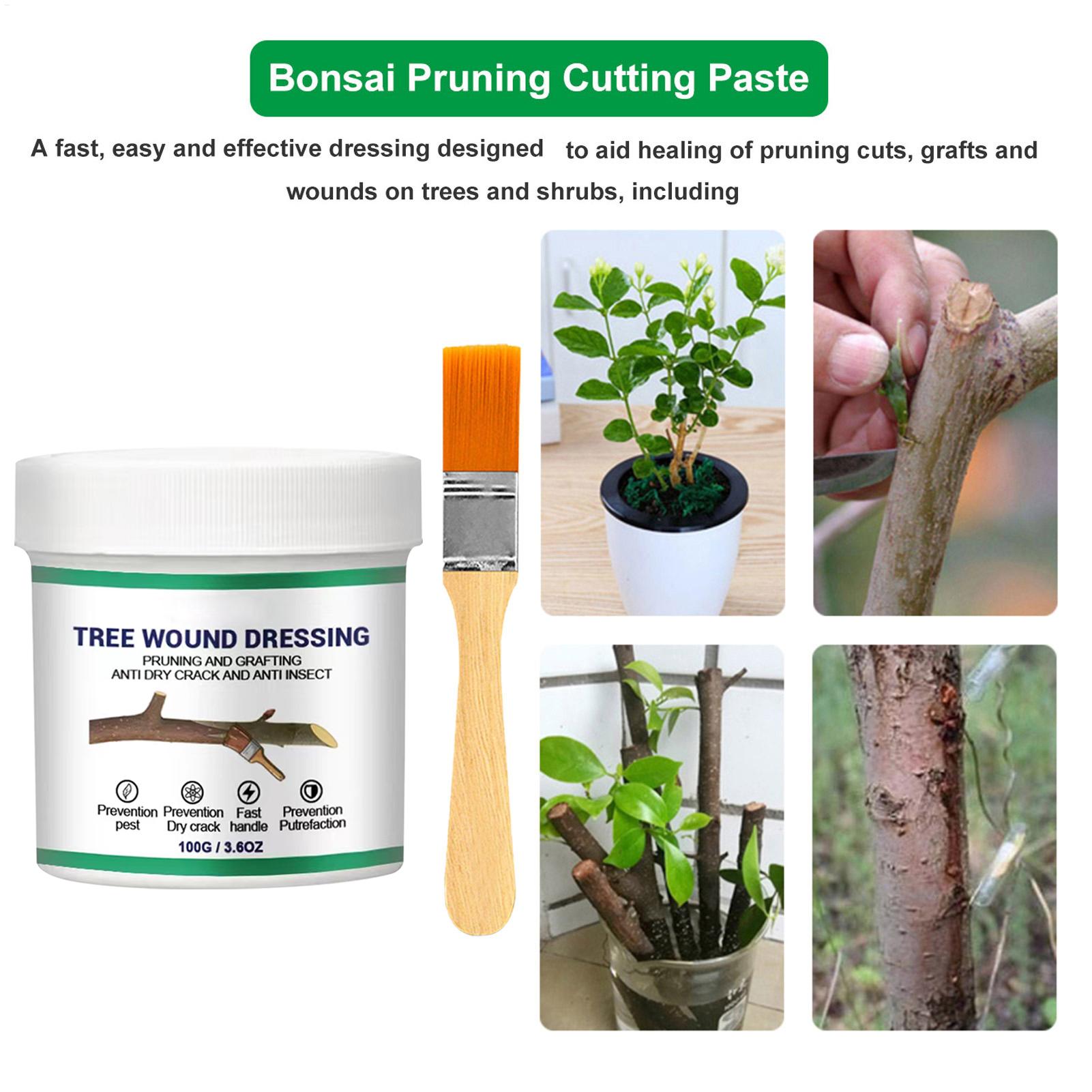 100g Tree Wound Pruning Sealer - Bonsai Garden Usa 评论和价格