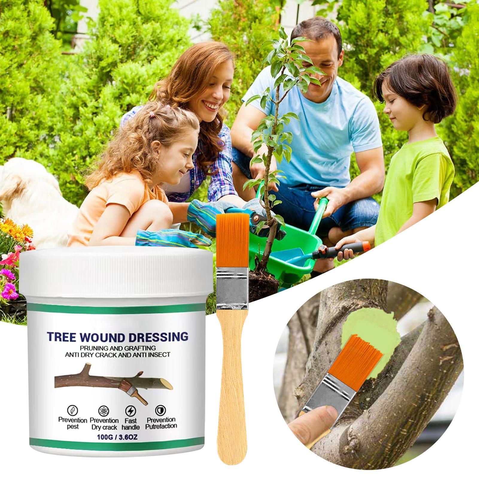 100g Tree Wound Pruning Sealer - Bonsai Garden Usa 评论和价格