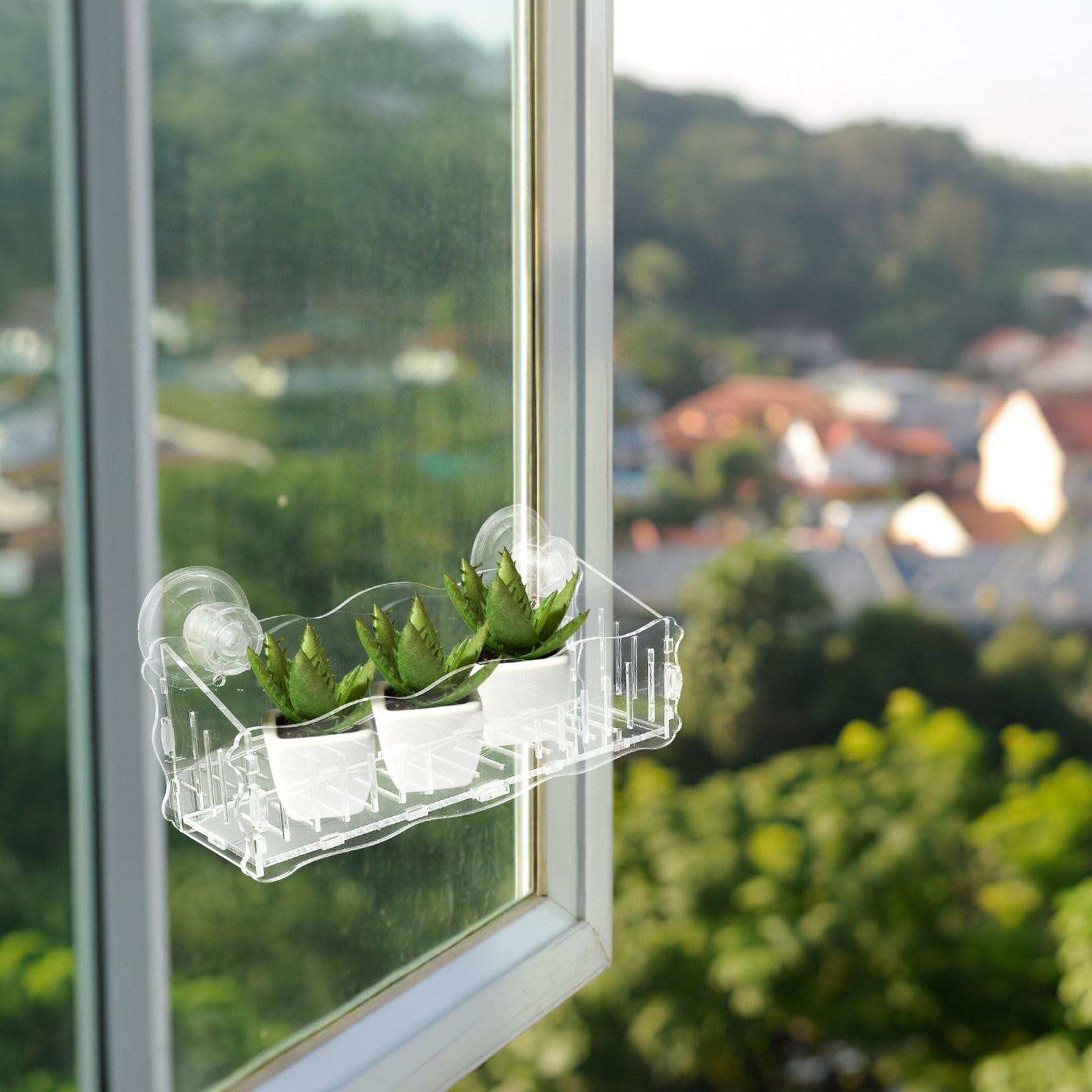 Suction Cup Planter Acrylic Tr - Bonsai Garden Usa 评论和价格