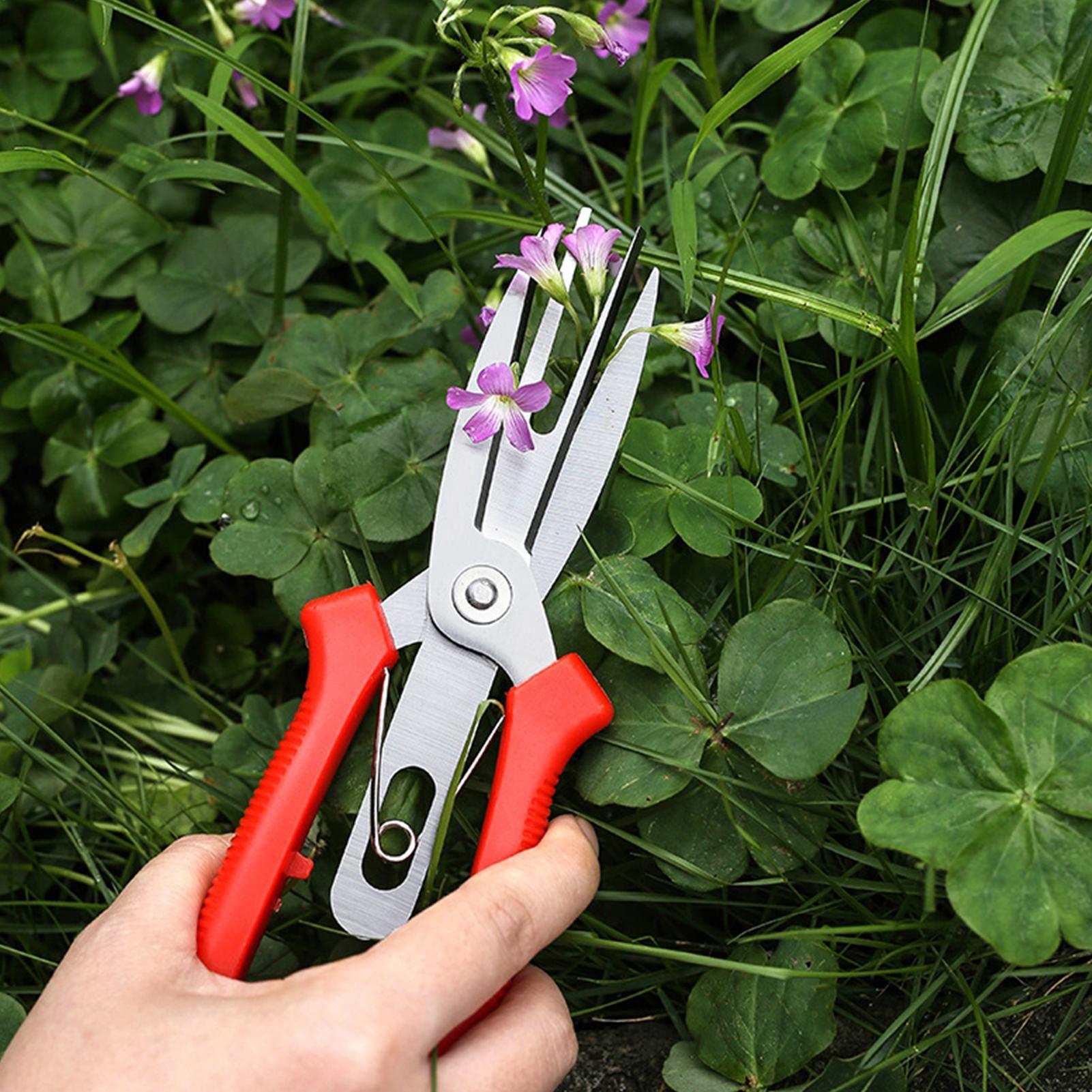 Garden Shears Stainless Steel  - Bonsai Garden Usa 评论和价格